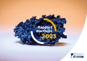 Rapport annuel Carnot M.I.N.E.S